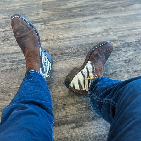 Arno Bliskavka in C.F. Stead Polo Brown Unicorn Elk & Zebra Hair On Hide