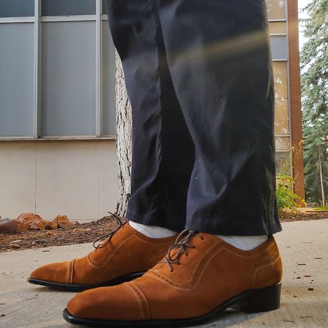 Ichigo Ichie Adelaide Oxford in Unlisted Leather
