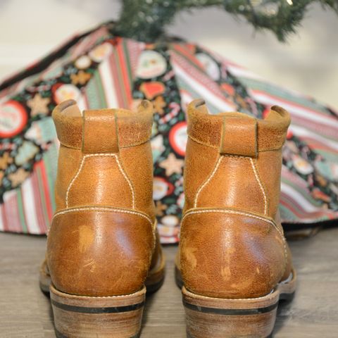 View photo of Txture Sanity Boots in C.F. Stead Coach Crazy Cow