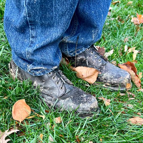 Red Wing 953 in Velva Boomer