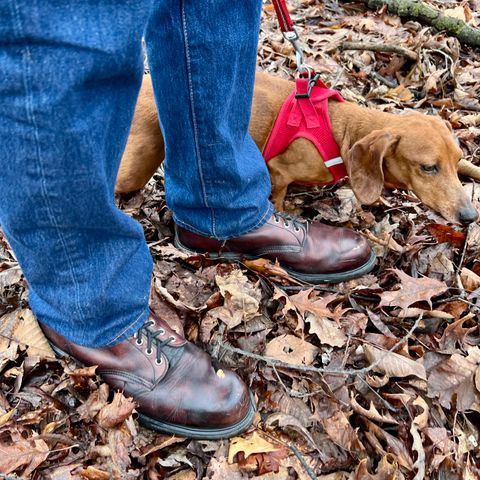 Red Wing 953 in Velva Boomer