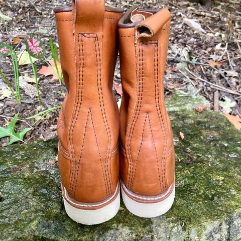 Red Wing 8-Inch Classic Moc in S.B. Foot Oro-Iginal