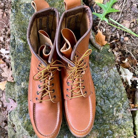 Red Wing 8-Inch Classic Moc in S.B. Foot Oro-Iginal