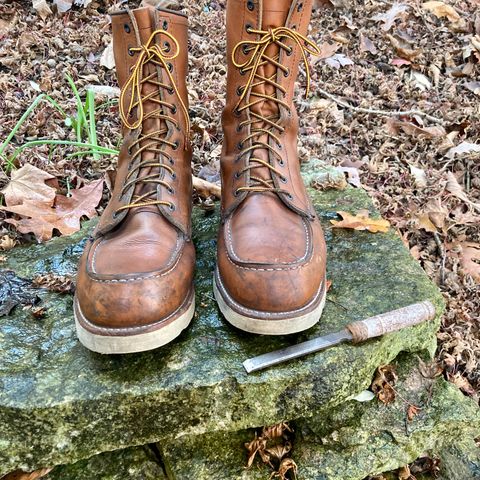 Red Wing 8-Inch Classic Moc in S.B. Foot Oro-Iginal