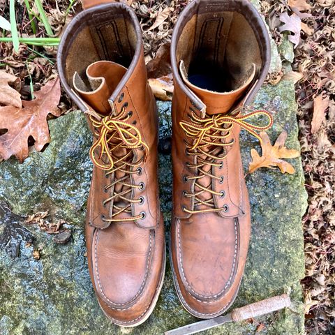 Red Wing 8-Inch Classic Moc in S.B. Foot Oro-Iginal