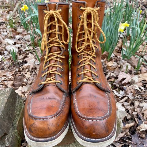 Red Wing 8-Inch Classic Moc in S.B. Foot Oro-Iginal