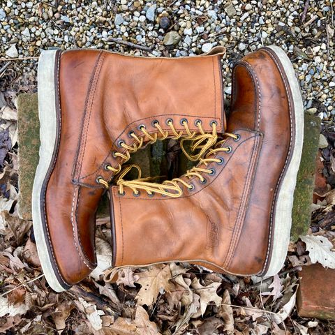 Red Wing 8-Inch Classic Moc in S.B. Foot Oro-Iginal