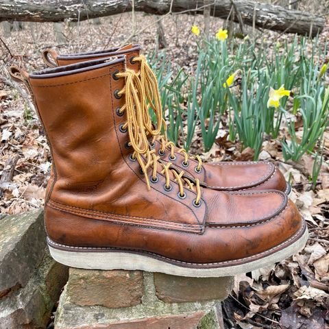 Red Wing 8-Inch Classic Moc in S.B. Foot Oro-Iginal