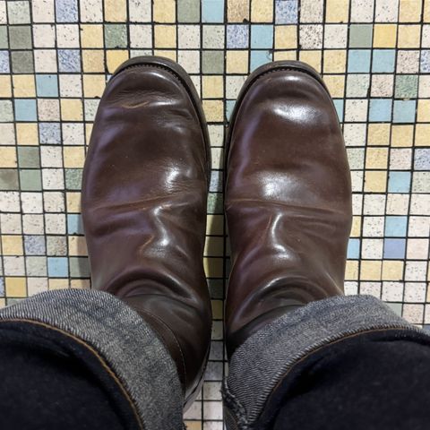 XBXS Jodhpur in Maryam Brown Horsebutt