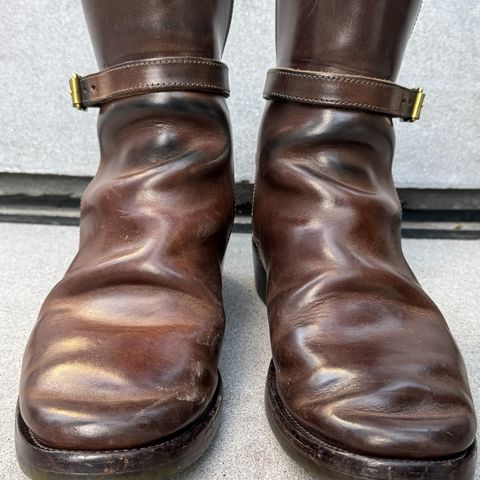 XBXS Jodhpur in Maryam Brown Horsebutt