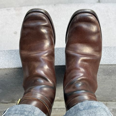 XBXS Jodhpur in Maryam Brown Horsebutt