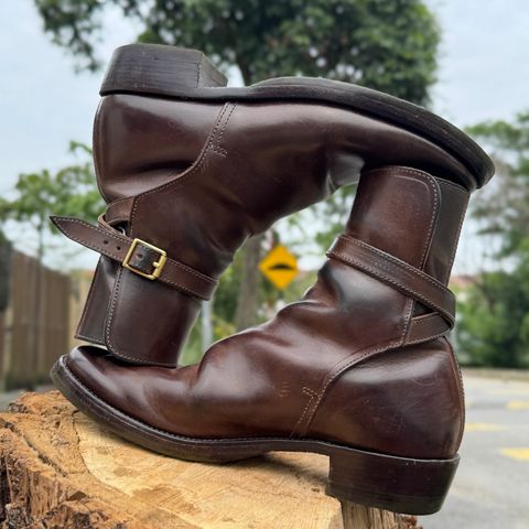 XBXS Jodhpur in Maryam Brown Horsebutt