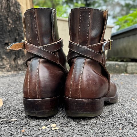 XBXS Jodhpur in Maryam Brown Horsebutt