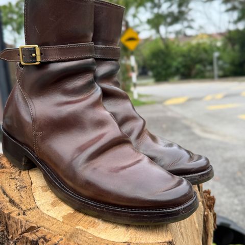 XBXS Jodhpur in Maryam Brown Horsebutt