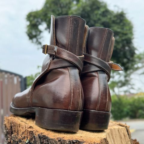XBXS Jodhpur in Maryam Brown Horsebutt