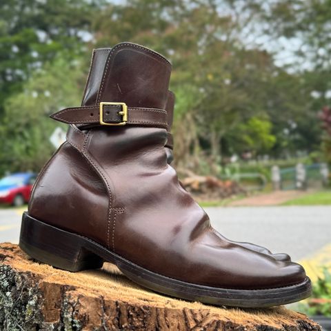 XBXS Jodhpur in Maryam Brown Horsebutt