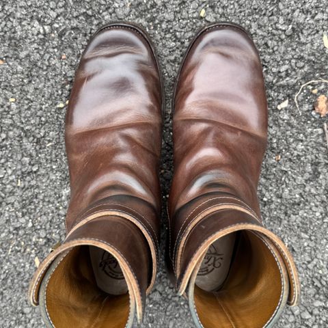 XBXS Jodhpur in Maryam Brown Horsebutt