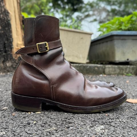 XBXS Jodhpur in Maryam Brown Horsebutt
