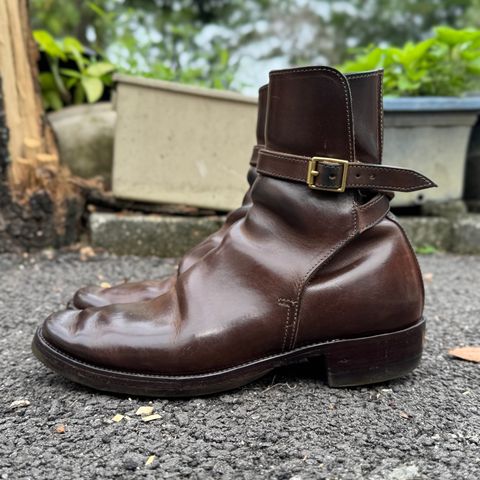 XBXS Jodhpur in Maryam Brown Horsebutt