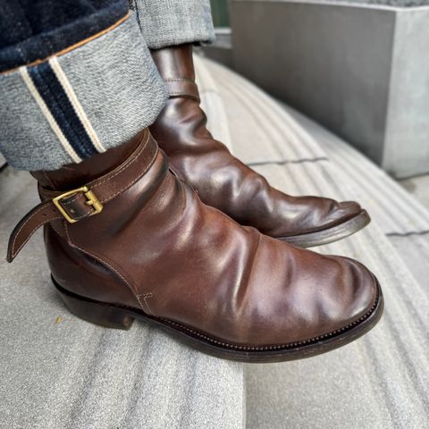 XBXS Jodhpur in Maryam Brown Horsebutt