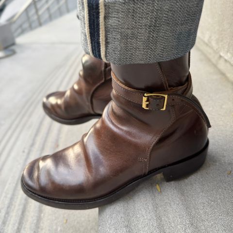 XBXS Jodhpur in Maryam Brown Horsebutt