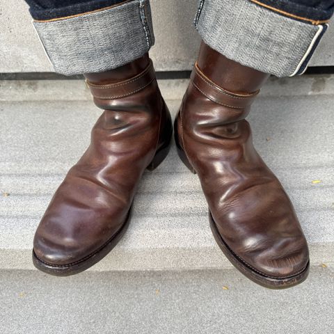 XBXS Jodhpur in Maryam Brown Horsebutt