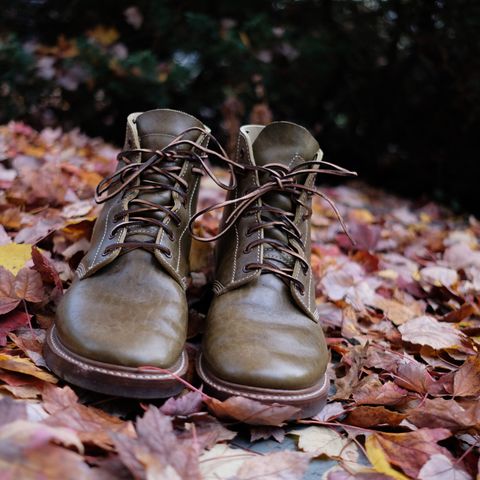 John Lofgren M-43 Service Shoes in Shinki Olive Shrunken Horsebutt