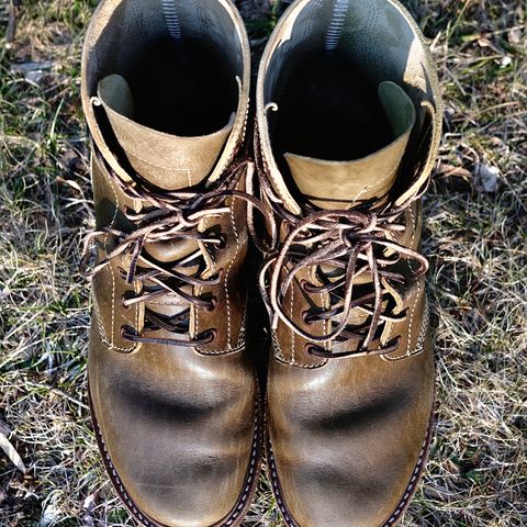 John Lofgren M-43 Service Shoes in Shinki Olive Shrunken Horsebutt