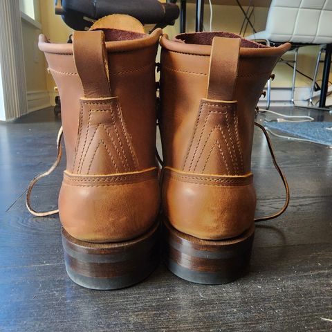 Nicks Falcon in Horween Orange Predator