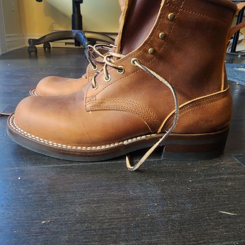 Nicks Falcon in Horween Orange Predator