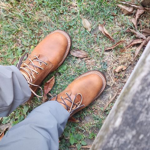Nicks Falcon in Horween Orange Predator