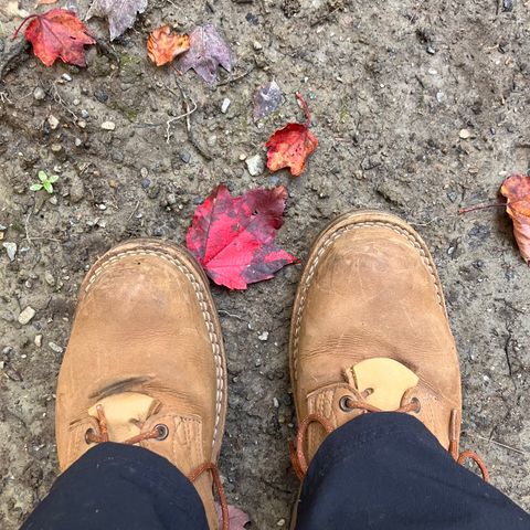 View photo of Nicks Ridgeline Hiking Boot in Seidel WeatherShield Brown