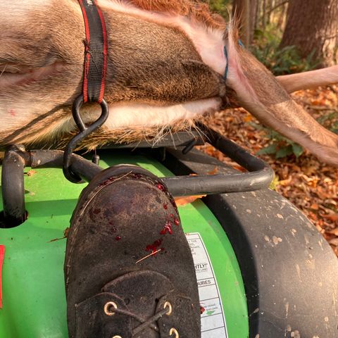 View photo of Nicks Ridgeline Hiking Boot in Seidel 1964 Black Roughout