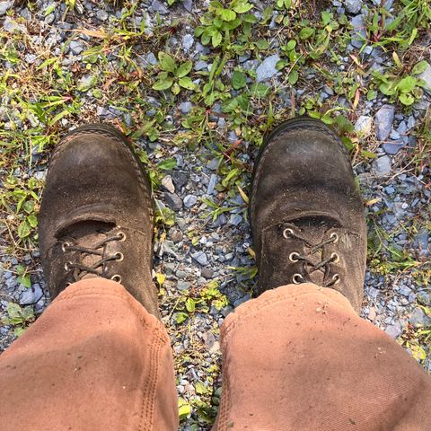 Nicks Ridgeline Hiking Boot in Seidel 1964 Black Roughout