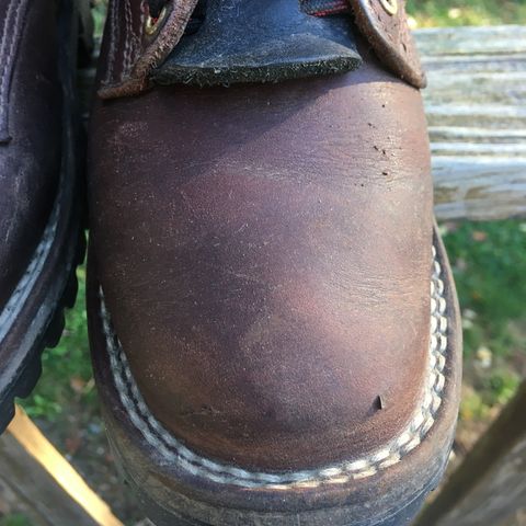 Nicks Urban Logger in Seidel MaxSupport Chocolate
