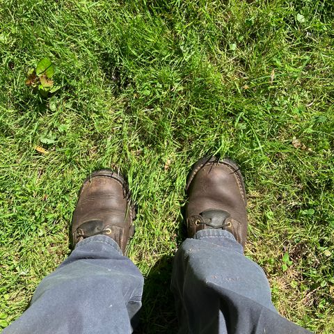 Nicks Urban Logger in Seidel MaxSupport Chocolate