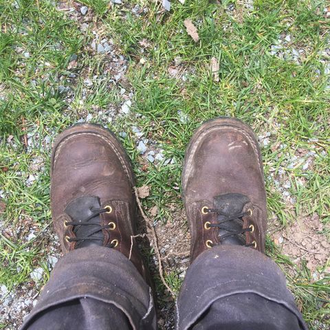 Nicks Urban Logger in Seidel MaxSupport Chocolate