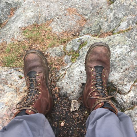 Nicks Urban Logger in Seidel MaxSupport Chocolate