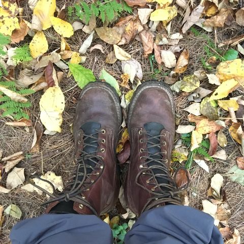 Nicks Urban Logger in Seidel MaxSupport Chocolate