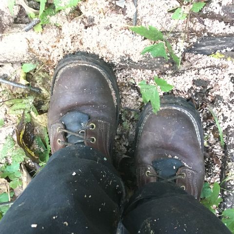 Nicks Urban Logger in Seidel MaxSupport Chocolate