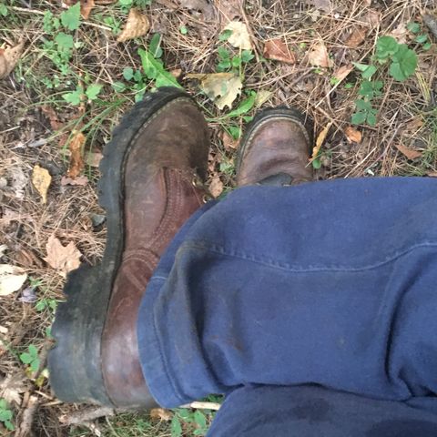 Nicks Urban Logger in Seidel MaxSupport Chocolate