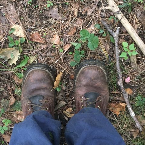 Nicks Urban Logger in Seidel MaxSupport Chocolate