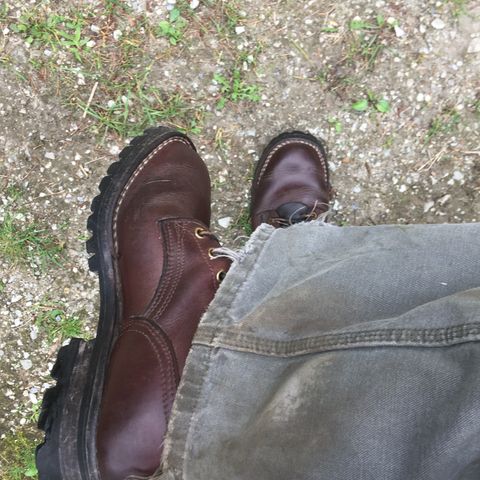 Nicks Urban Logger in Seidel MaxSupport Chocolate