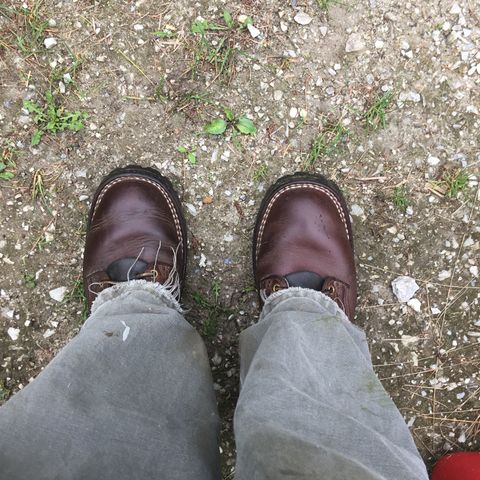 Nicks Urban Logger in Seidel MaxSupport Chocolate
