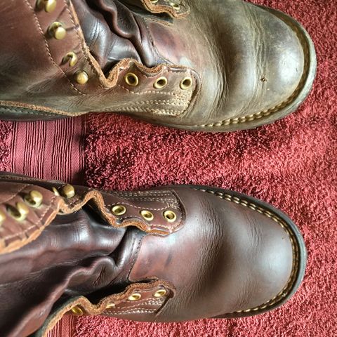 Nicks Urban Logger in Seidel MaxSupport Chocolate