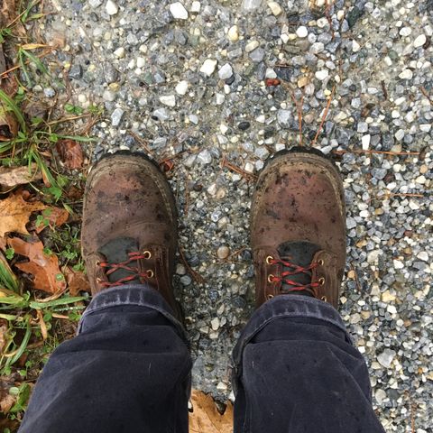 Nicks Urban Logger in Seidel MaxSupport Chocolate