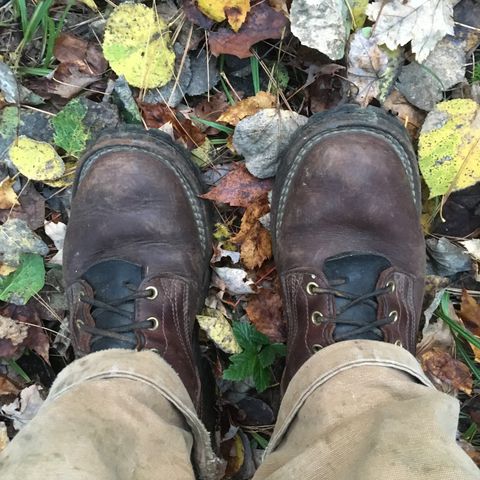 Nicks Urban Logger in Seidel MaxSupport Chocolate