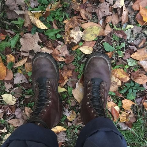 Nicks Urban Logger in Seidel MaxSupport Chocolate