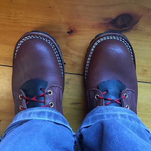 Nicks Urban Logger in Seidel MaxSupport Chocolate