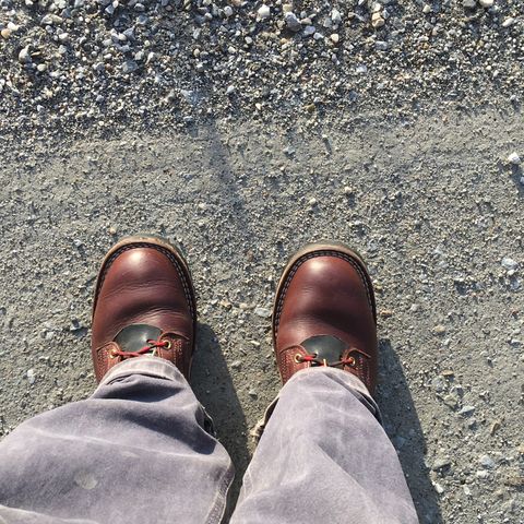 Nicks Urban Logger in Seidel MaxSupport Chocolate